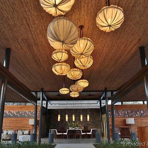 El Mangroove Papagayo, Autograph Collection